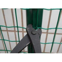 Holland Wire Mesh para venda